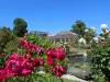 Rose Garden Saverne (© Land Tourismus Saverne)