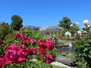 Rose Garden Saverne (© Регион Туристический офис Saverne)