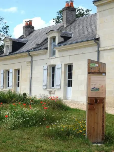 Savigny-en-Véron - Führer für Tourismus, Urlaub & Wochenende im Indre-et-Loire