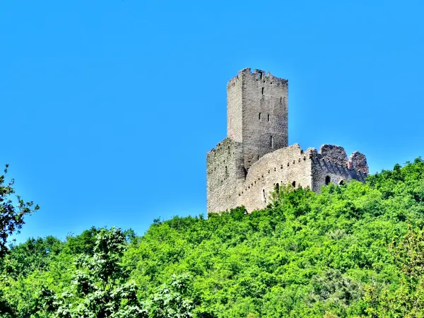 Castillo de l'Ortenbourg - Monumento en Scherwiller