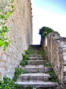 escalera de acceso al segundo nivel (© J.E.)