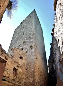 La torre del homenaje, visto desde la plaza superior (© J.E.)