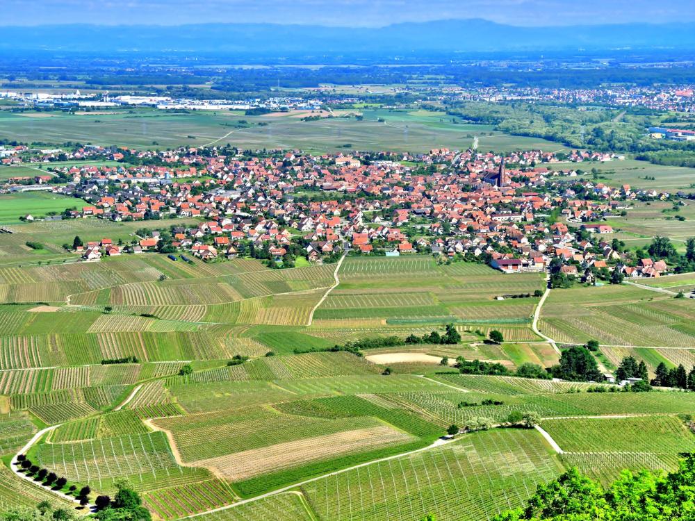 Bilder Scherwiller Tourismus, Urlaub & Wochenenden