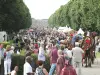 Секлин - Drève на фестивале сельди