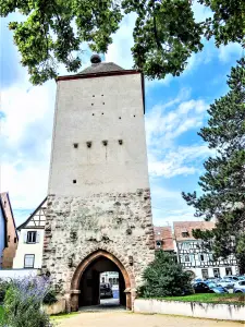 Torre das Bruxas (© JE)