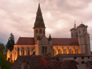 De verlichte collegiale kerk