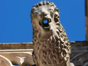 Gargoyle van de Collegiale kerk Notre-Dame