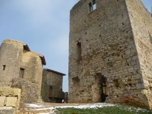 Château Saint-Hugues