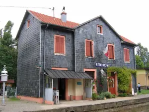 Estación de Sentheim - Tren turístico