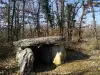 Dolmen von Septfonds - Monument in Septfonds