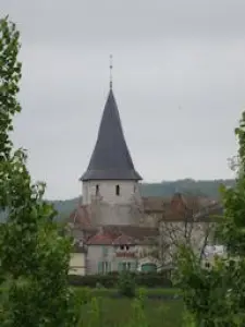 Clocher tors