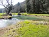 The Sesserant, downstream of the old Bléfond mill (© J.E)