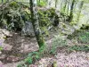 First defensive moat east of Silley Castle (© J.E)