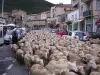 Fête de l'agneau aux Marres