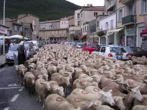 Festival van de agneau aux Marres
