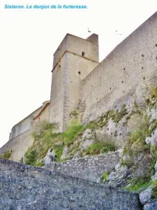 De donjon kijkt uit over de muur van de citadel (© JE)