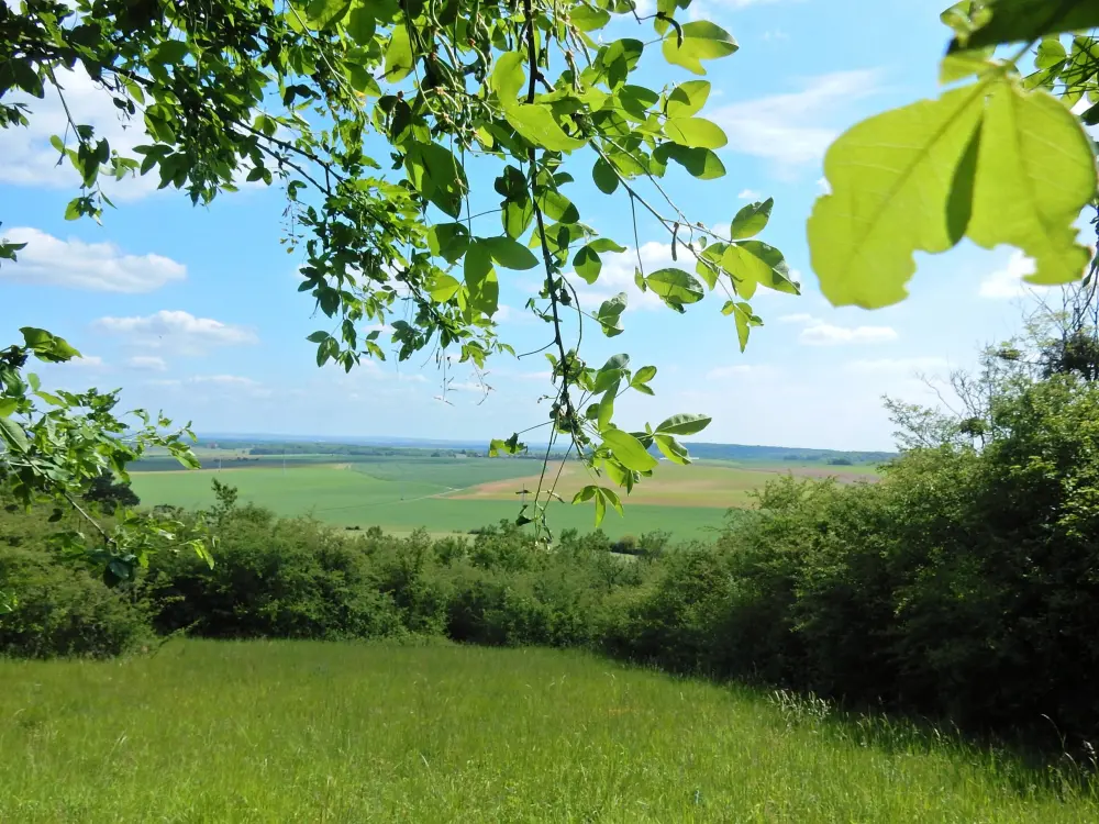 Photos SognollesenMontois Tourisme, Vacances & Weekend