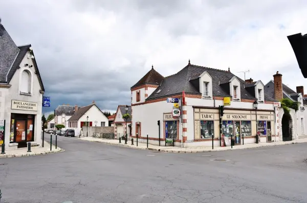 Soings-en-Sologne - Guide tourisme, vacances & week-end dans le Loir-et-Cher