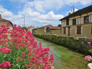 La Laines