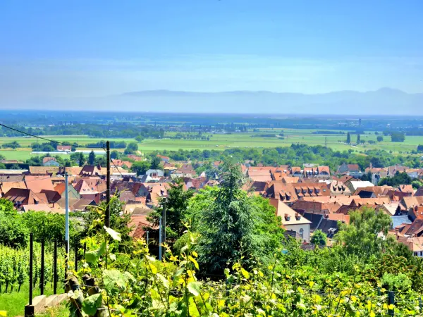 Soultz-Haut-Rhin - Guide tourisme, vacances & week-end dans le Haut-Rhin