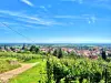 Panorama sur Soultz, depuis le vignoble (© J.E)