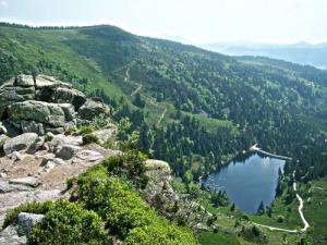 étang truite vosges