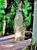 Menhir du Langenstein (© Jean Espirat)