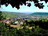 Soultzmatt - Guide tourisme, vacances & week-end dans le Haut-Rhin