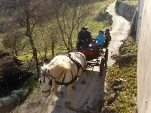 Passeggiate in carrozza la vigilia di Natale