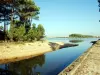 Lac marin de Soustons plage