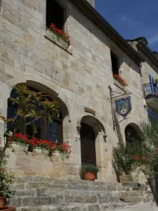 Renaissance House en la ciudad, casa del Peregrino