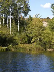 De lônes en oevers van de Rhône