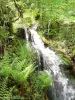 Cascade de l'Erzenbach