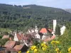 Stosswihr - Tourism, holidays & weekends guide in the Haut-Rhin