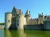 Sully-sur-Loire - Замок Sully-sur-Loire