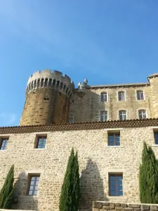 castle and its Wine University