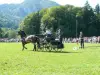 Taninges - Le concours d'attelages