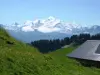 Taninges - Panorama sur le Mont Blanc en été