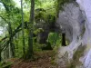 Grotte de Roche Chèvre - Lieu de loisirs à Ternant