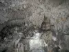 洞窟の岩ヤギインサイド