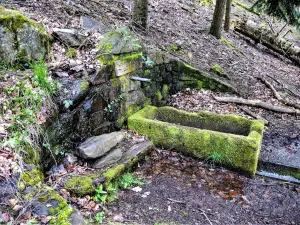 Fuente de Rehbrunnel (© JE)