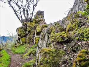 Sentiero dietro la quercia del Piton du Wotan (© JE)