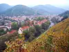 Thann - Tourism, holidays & weekends guide in the Haut-Rhin