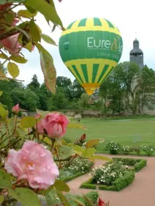 Ballooning in Abbey gardens