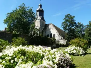 Gardens Abbey Thiron-Gardais
