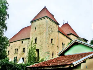 Château de Rives, gezien aan de meerzijde (© Jean Espirat)