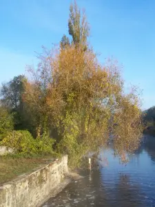 Sainte-Radegonde - Le Thouet