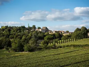 Commune de Tombeboeuf 