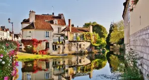 L'Armançon - La petite Venise