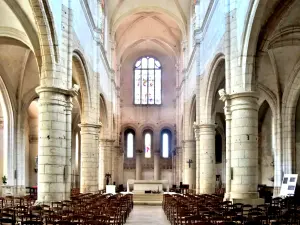 Schip van de Sint-Pieterskerk (© JE)